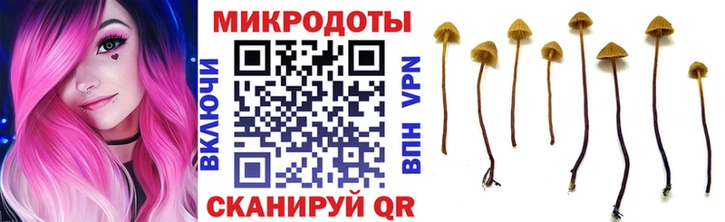 Галлюциногенные грибы прущие грибы  Биробиджан 