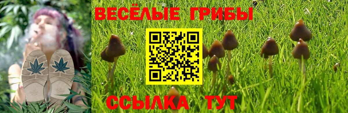 Биробиджан  Галлюциногенные грибы прущие грибы  где найти наркотики  Вход с VPN 